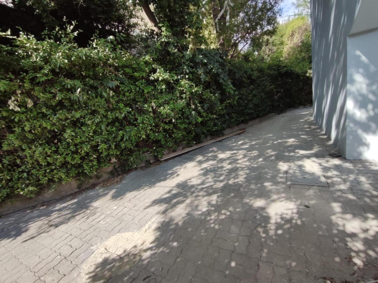 The Black Swan Apartment Triest Exterior foto